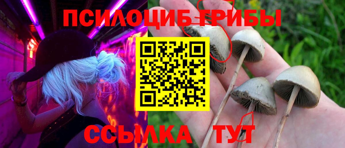 Псилоцибиновые грибы прущие грибы Петрозаводск