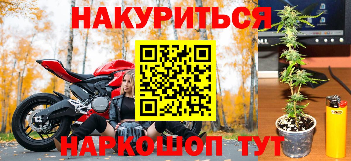 МАРИХУАНА сатива Петрозаводск
